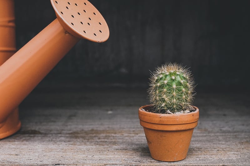 Recycled Planters